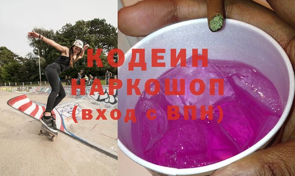 СК Няндома
