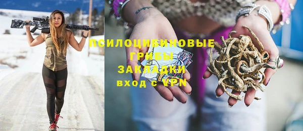 мдпв Нягань