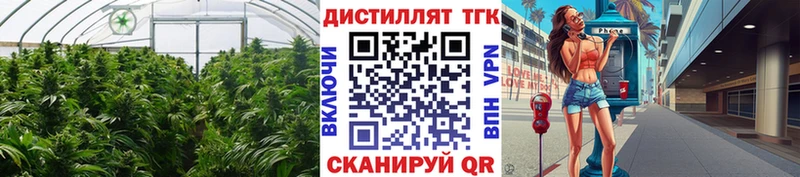 ТГК концентрат Коряжма