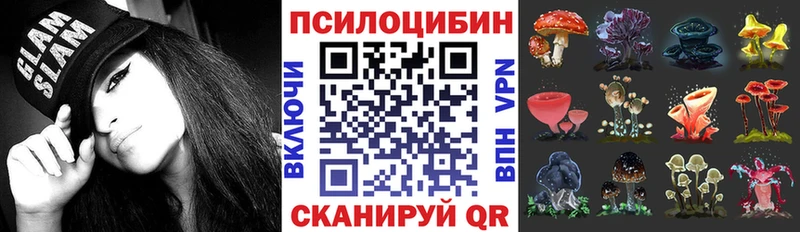 Псилоцибиновые грибы GOLDEN TEACHER Коряжма