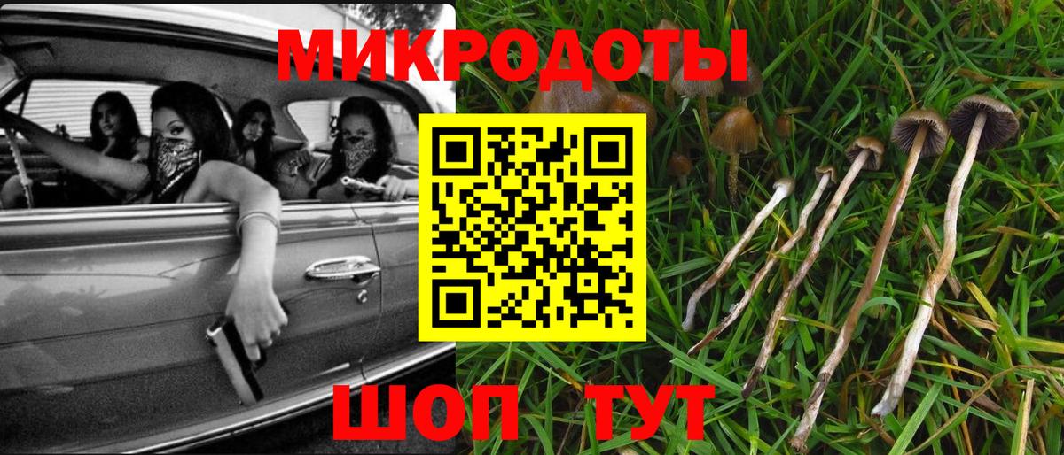 Псилоцибиновые грибы MAGIC MUSHROOMS  Вход с VPN  Коряжма 